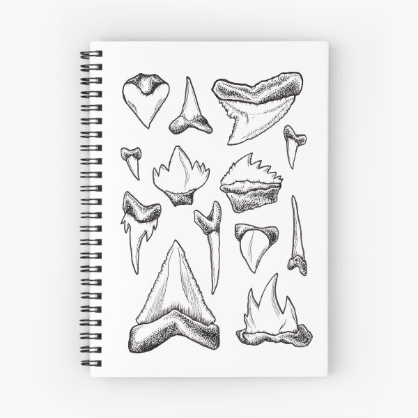 Item preview, Shark Teeth designed and sold by kohola-kai.