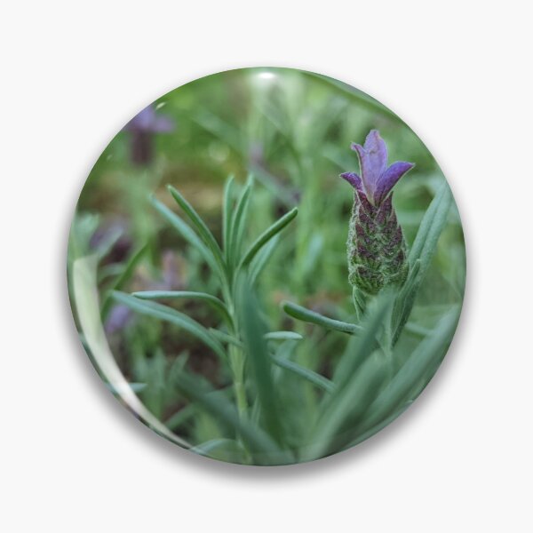 Item preview, Lavandula Stoechas designed and sold by Jkund19.