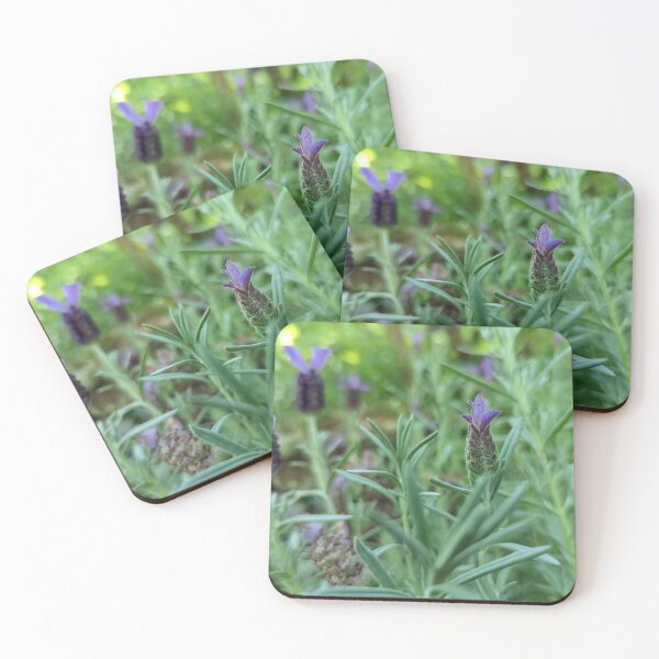Item preview, Lavandula Stoechas designed and sold by Jkund19.