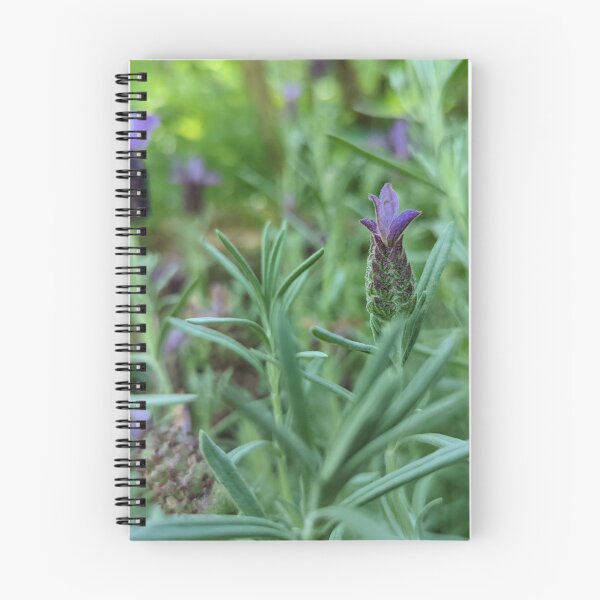 Item preview, Lavandula Stoechas designed and sold by Jkund19.