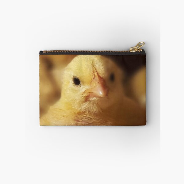 Item preview, Cute little chick. designed and sold by DaliaSabryTee.