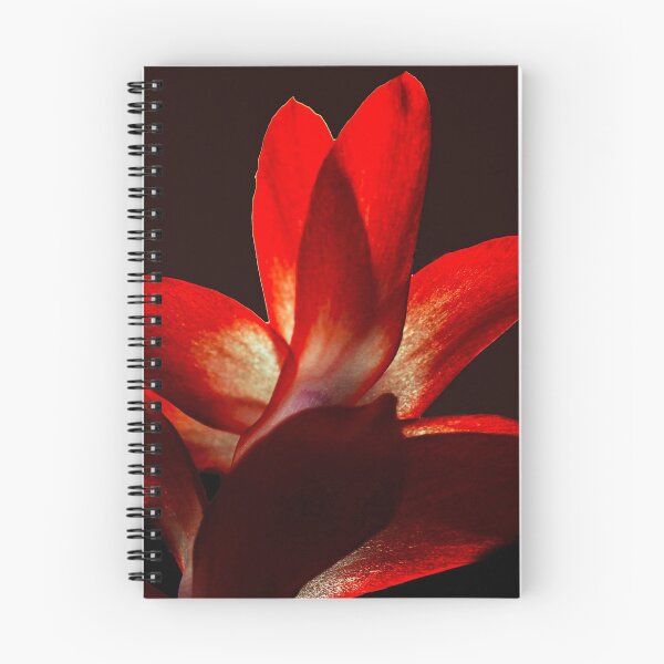 Item preview, Shadowed Cactus designed and sold by Rosemary Sobiera.