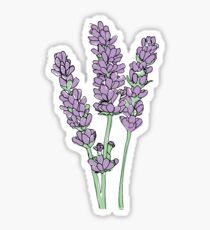 Lavender Illustration Sticker