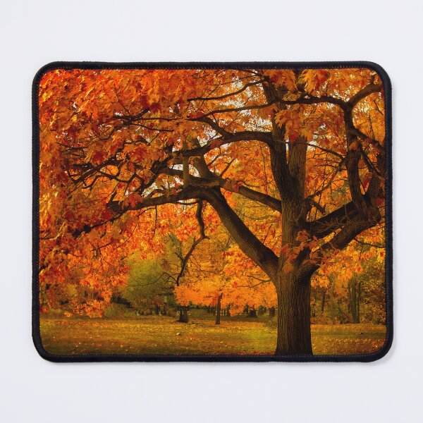 Item preview, Red Oak Tree designed and sold by LudaNayvelt.