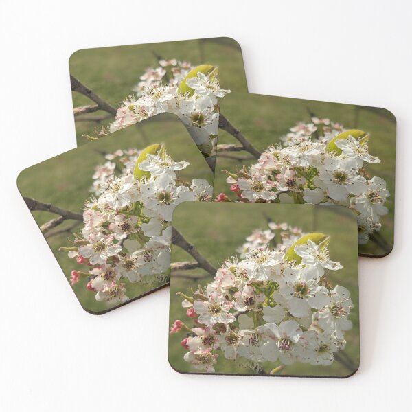 Item preview, White Tree Flowers 5 designed and sold by AustaArt.
