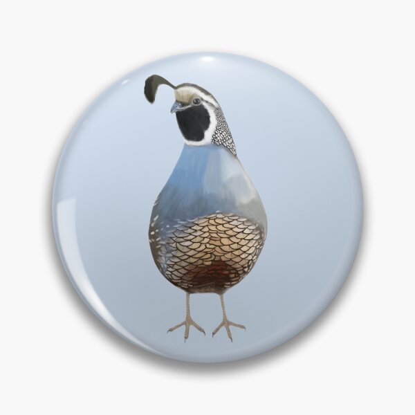 Item preview, Chip the California Quail  designed and sold by Wondersofwhimsy.