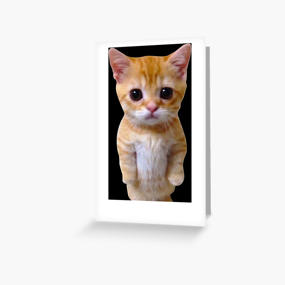 El Gato Sad Munchkin Kitty Cat Art Print For Sale By Gnabri | Redbubble