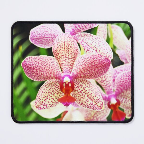 Item preview, Red Dotted Orchid designed and sold by treborbob.