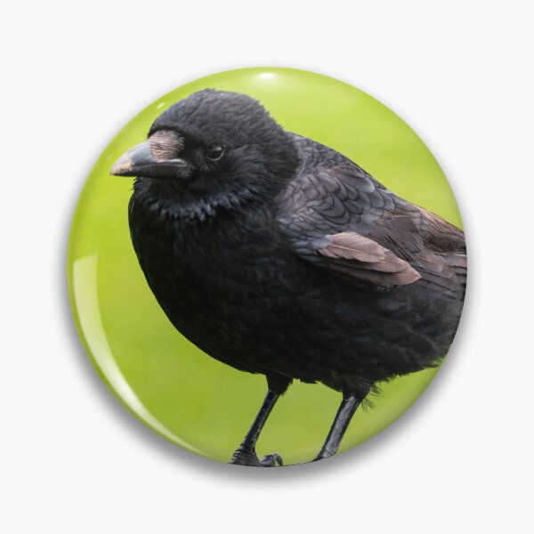 Item preview, The Wise Crow designed and sold by GingerMan2550.