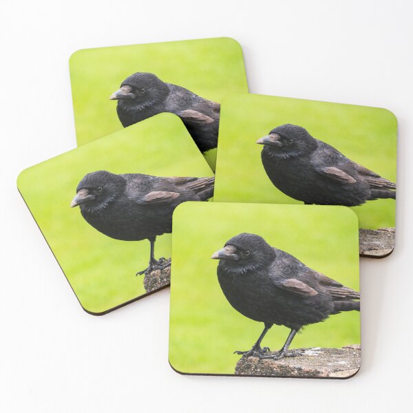 Item preview, The Wise Crow designed and sold by GingerMan2550.