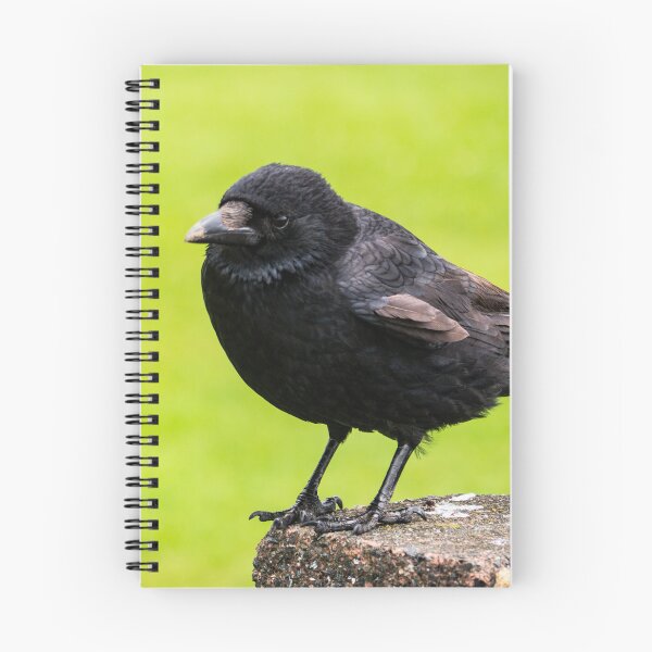Item preview, The Wise Crow designed and sold by GingerMan2550.