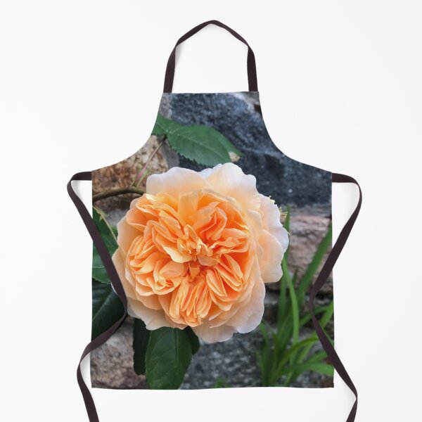 Item preview, Celebration Rose designed and sold by JuleZ54.