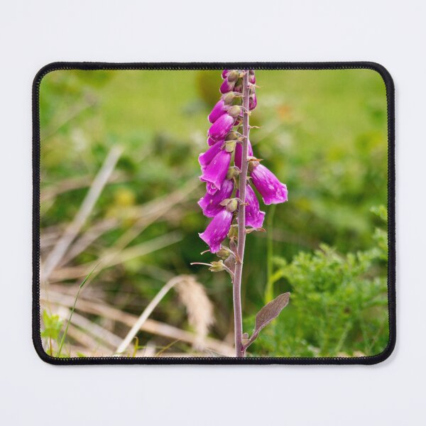 Item preview, Foxglove designed and sold by GingerMan2550.