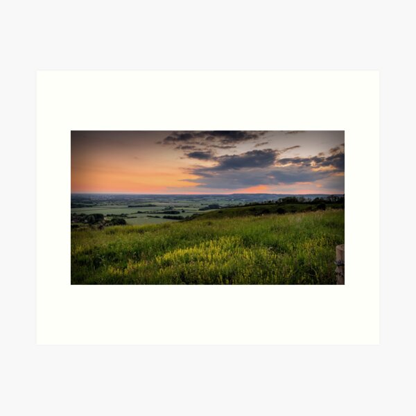 The View Art Print