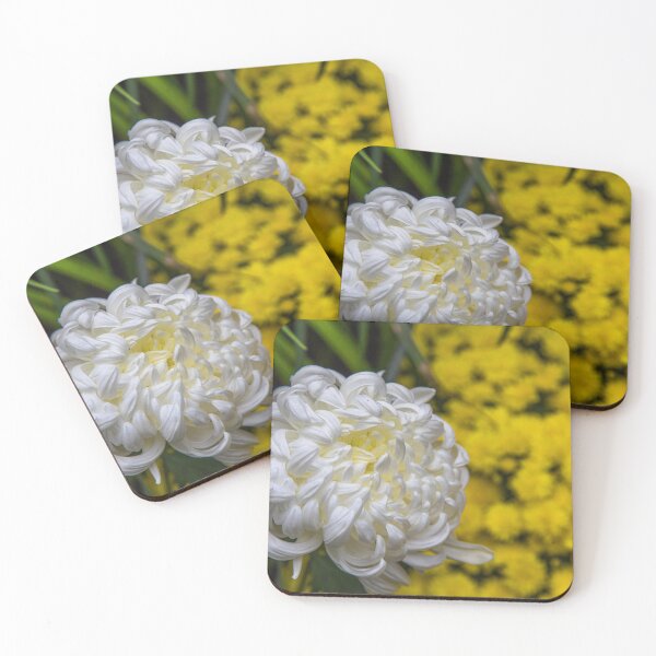 Item preview, USA. New York City. Botanical Garden. White Chrysanthemum. designed and sold by vadim19.