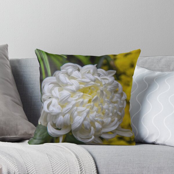 Item preview, USA. New York City. Botanical Garden. White Chrysanthemum. designed and sold by vadim19.
