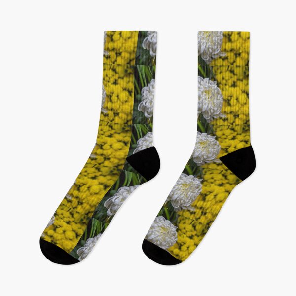 Item preview, USA. New York City. Botanical Garden. White Chrysanthemum. designed and sold by vadim19.