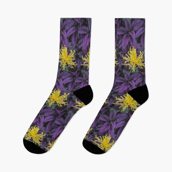 Item preview, USA. New York City. Botanical Garden. Yellow Chrysanthemum. designed and sold by vadim19.