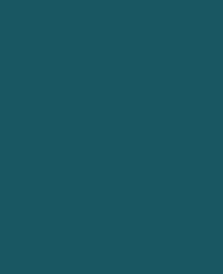 Dark Turquoise Solid Color\