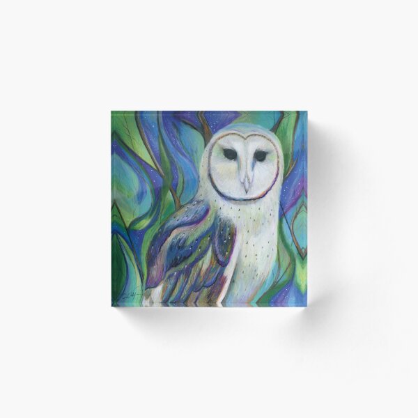 Barn Owl in a Fantasy Forest Acrylic Block