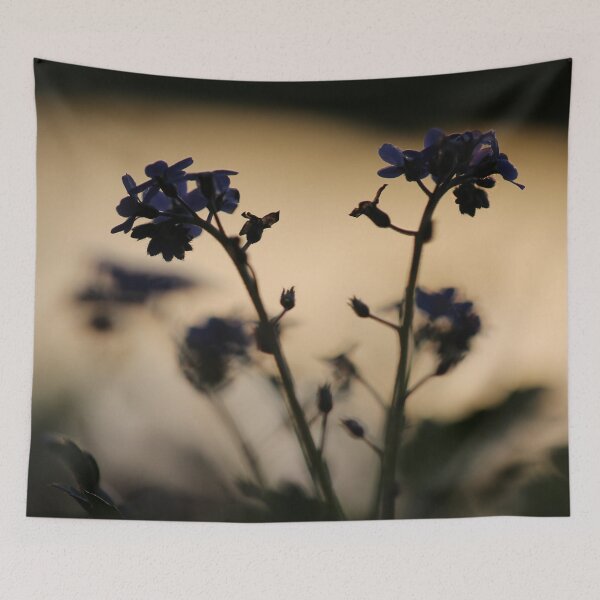 Item preview, Forget-me-not at sunset designed and sold by cuprum.