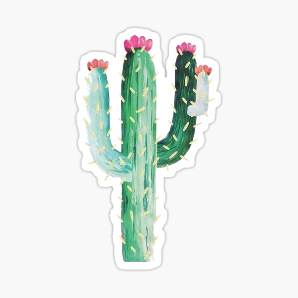 Sticker Cactus Doodle Plante - Stickers Cactus