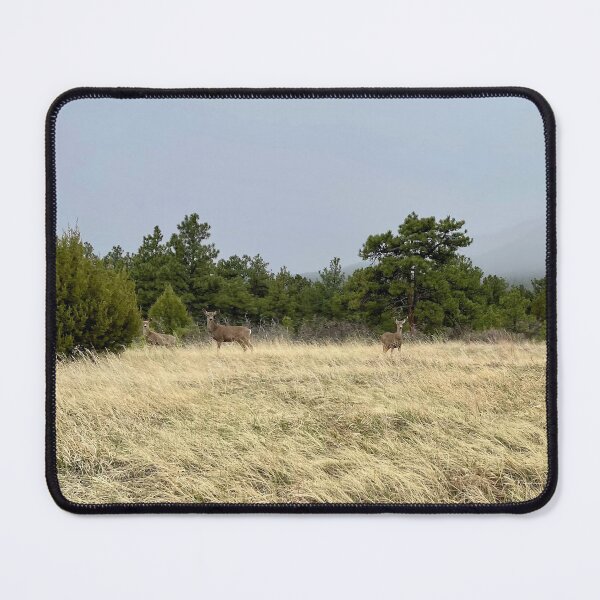 Item preview, Wild Deer Trio designed and sold by BeachBumFamily.