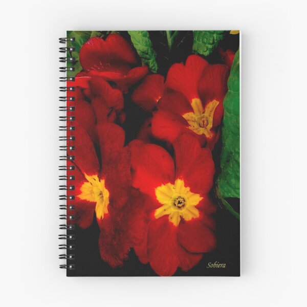 Item preview, Bright Red Crescendo designed and sold by Rosemary Sobiera.
