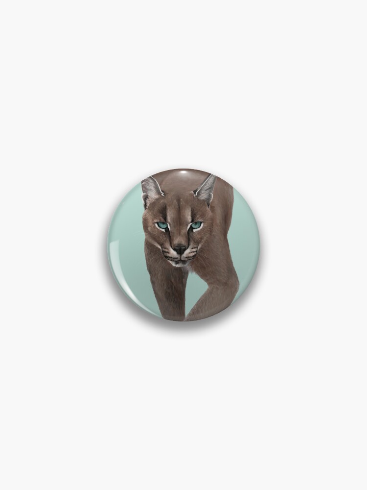 Pin on CARACAL