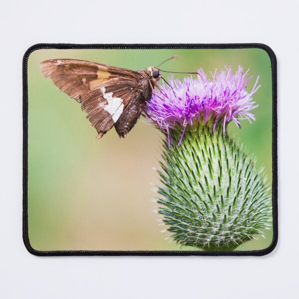Item preview, going horizontal on a vertical designed and sold by blacqbook.