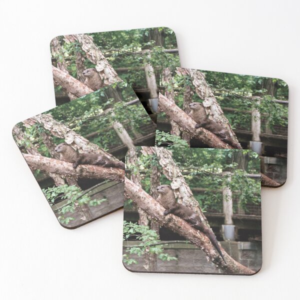 Item preview, Otter up a Tree designed and sold by Creative Pictures.