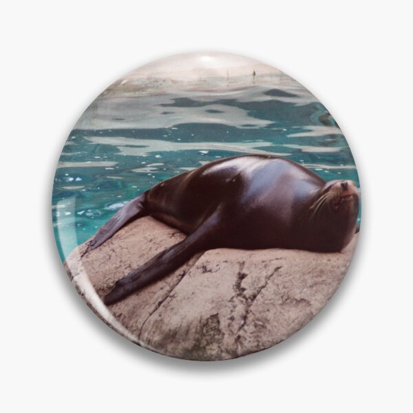 Item preview, Sea Lion on a Rock designed and sold by Creative Pictures.