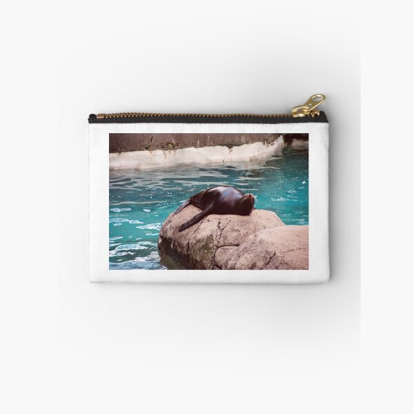 Item preview, Sea Lion on a Rock designed and sold by Creative Pictures.