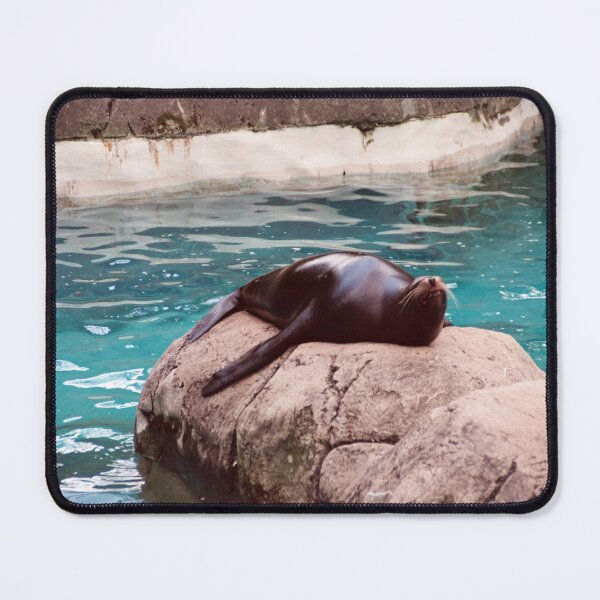 Item preview, Sea Lion on a Rock designed and sold by Creative Pictures.