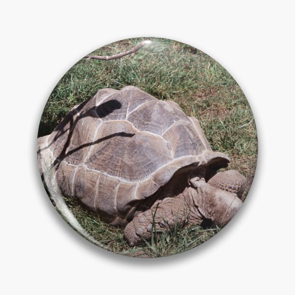 Item preview, Cool Tortoise designed and sold by Creative Pictures.