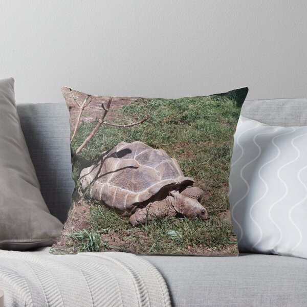 Item preview, Cool Tortoise designed and sold by Creative Pictures.
