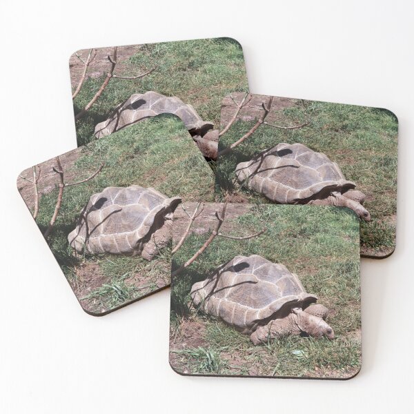 Item preview, Cool Tortoise designed and sold by Creative Pictures.