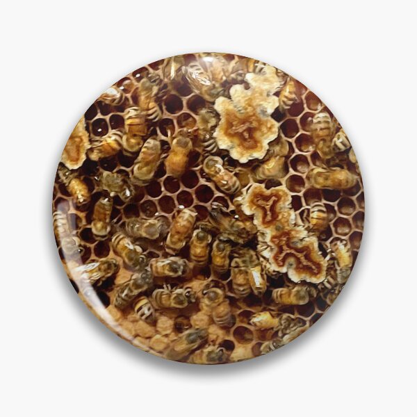 Artikelvorschau, Bee Hive entworfen und verkauft von samhug.