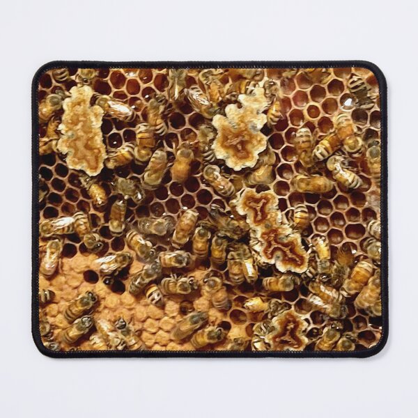 Item preview, Bee Hive designed and sold by samhug.