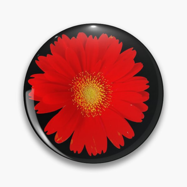 Item preview, Gerbera Daisy Red flower designed and sold by SilviPavlova.