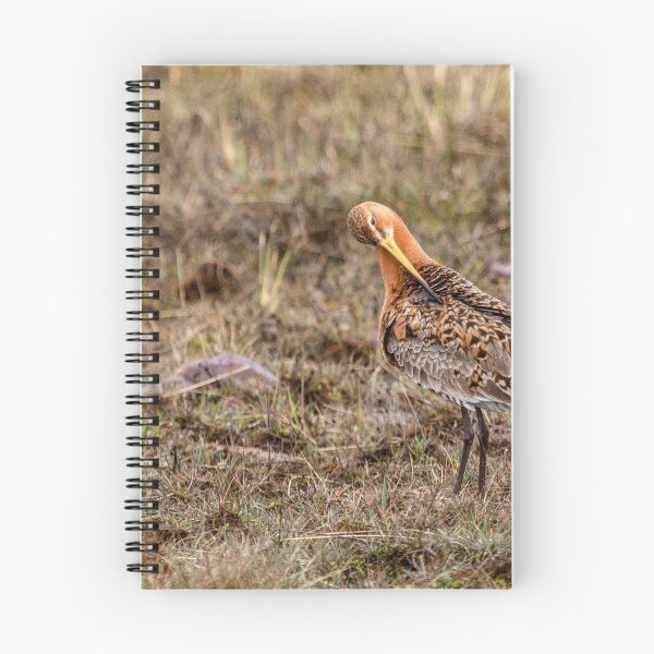 Item preview, Limosa limosa designed and sold by Gbenonys Art.