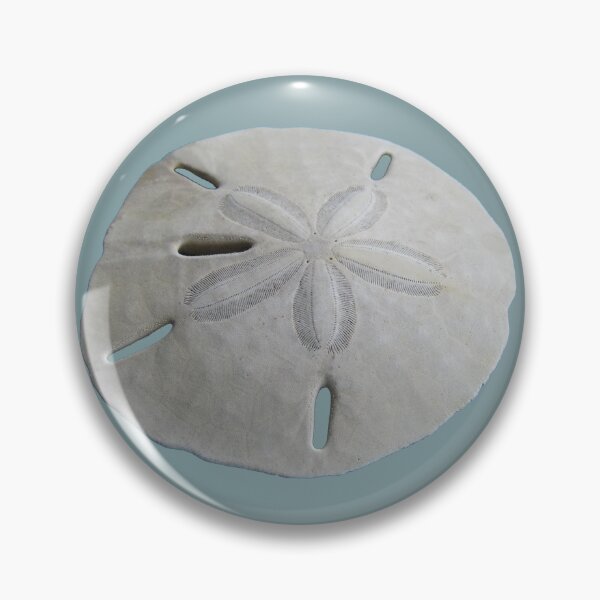Item preview, Sand Dollar Beach Theme designed and sold by BeachBumFamily.
