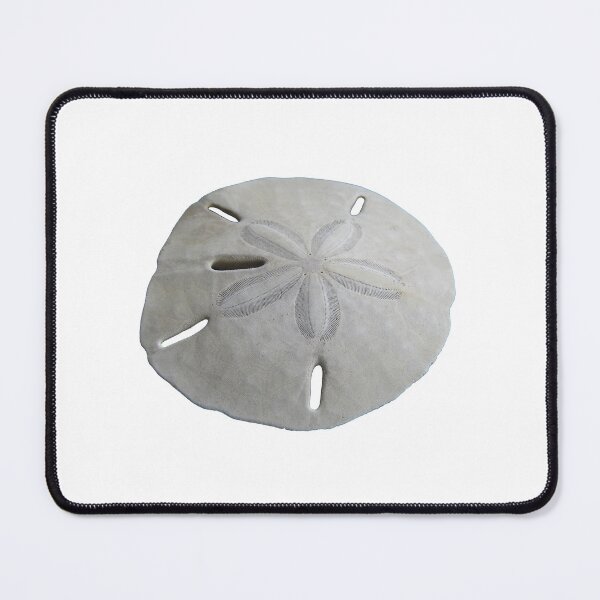 Item preview, Sand Dollar Beach Theme designed and sold by BeachBumFamily.