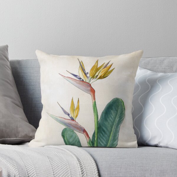 Item preview, Strelitzia reginae designed and sold by GoaVas.
