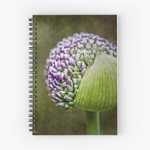 Item preview, Budding Allium designed and sold by Jessica Manelis.