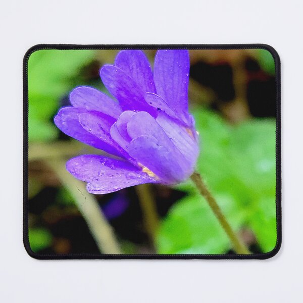 Item preview, Blue Bud designed and sold by Vicky Walter.