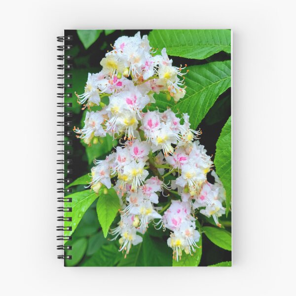 Item preview, Chestnut Blossoms designed and sold by Vicky Walter.