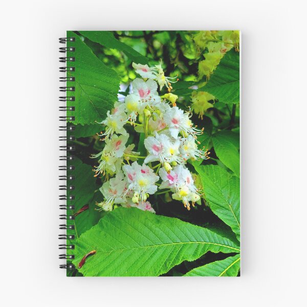 Item preview, Chestnut in Bloom designed and sold by Vicky Walter.