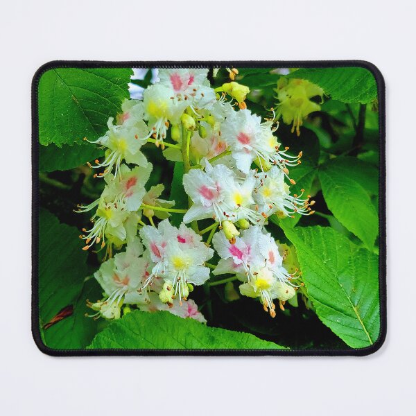 Item preview, Chestnut in Bloom designed and sold by Vicky Walter.