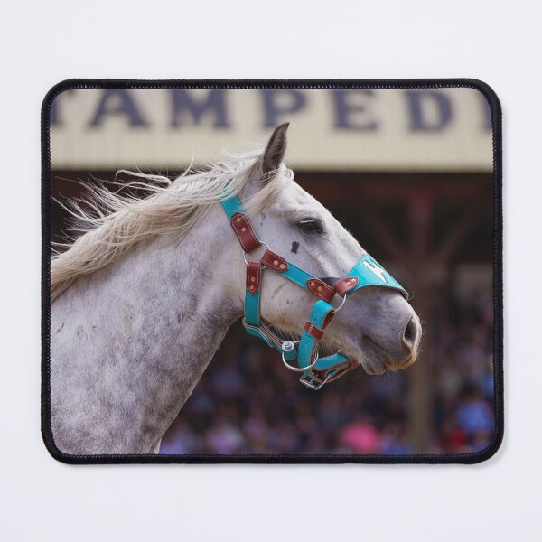 Item preview, Stampede designed and sold by Gralyn Boyd.
